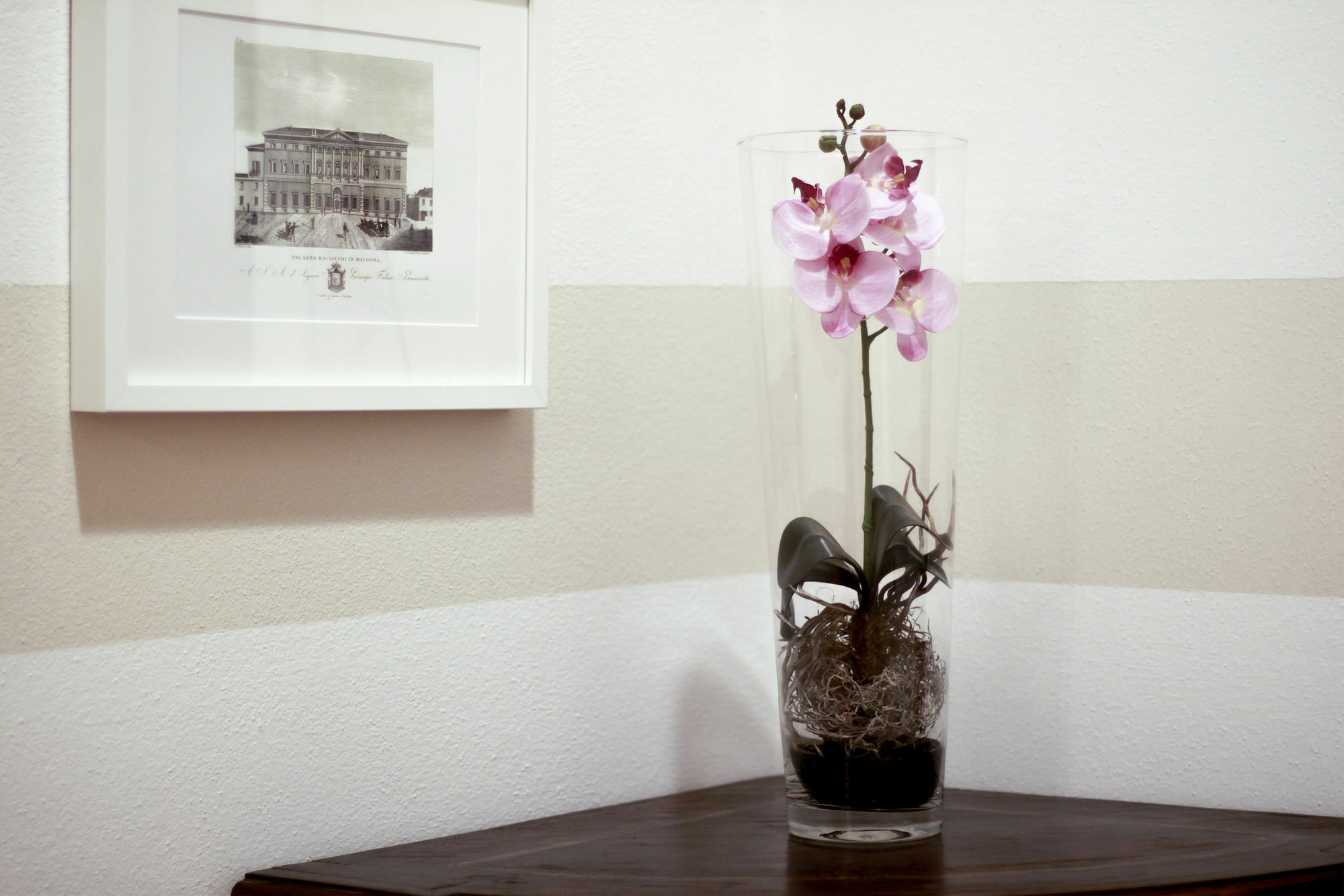 Casa Isolani Luxury Rooms Piazza Maggiore Bologna Luaran gambar